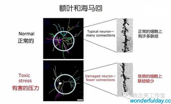 精彩每一天