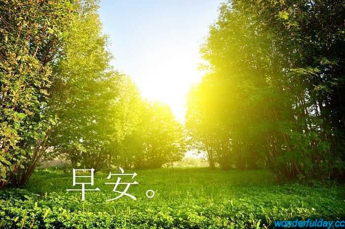 精彩每一天
