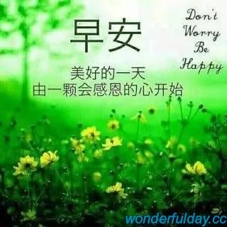 精彩每一天