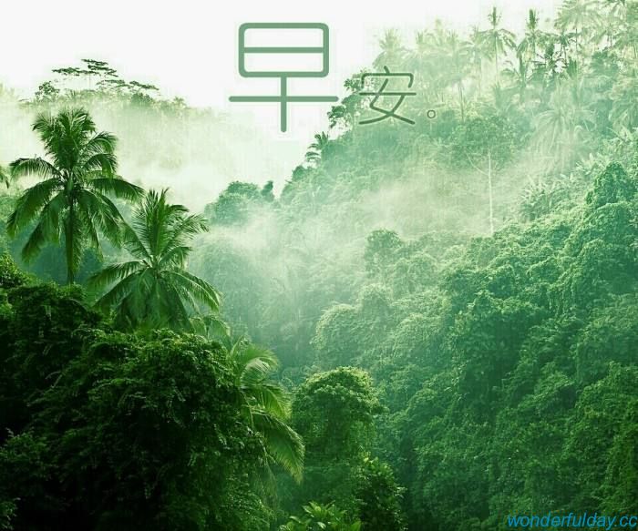 精彩每一天