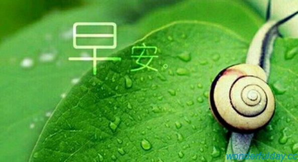 精彩每一天